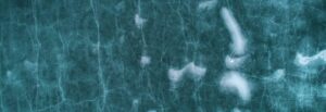 Cleans Ceramic Tiles